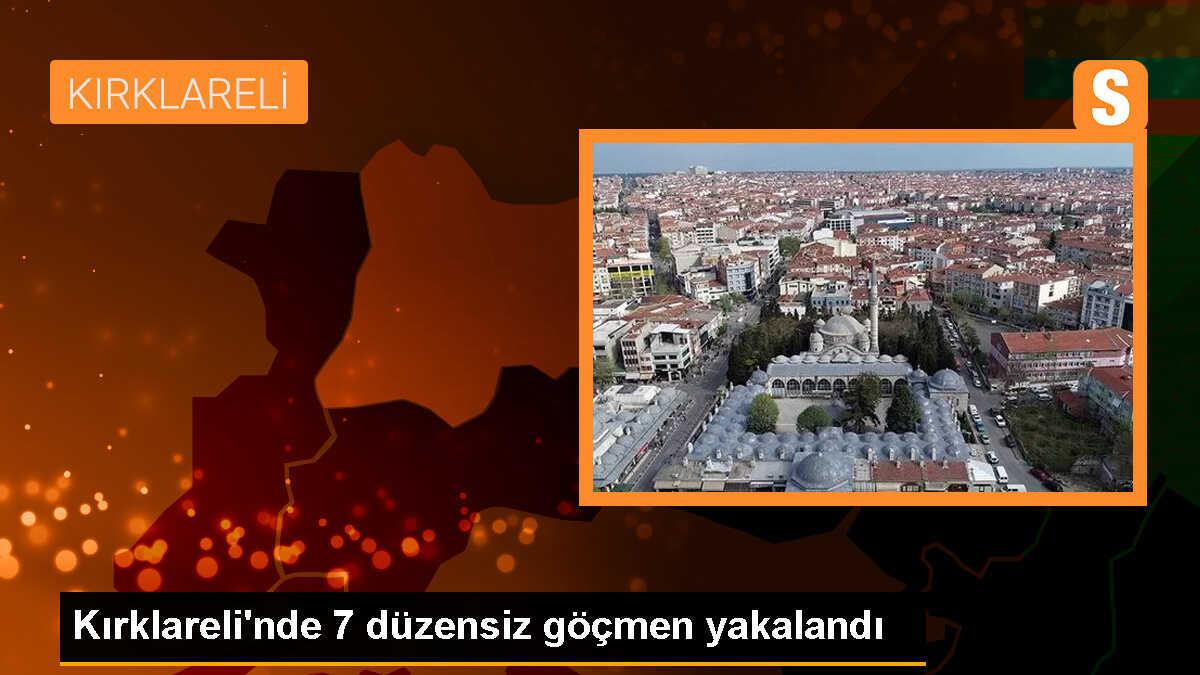 Kırklareli\'nde 7 düzensiz göçmen yakalandı, 2 kişi gözaltına alındı