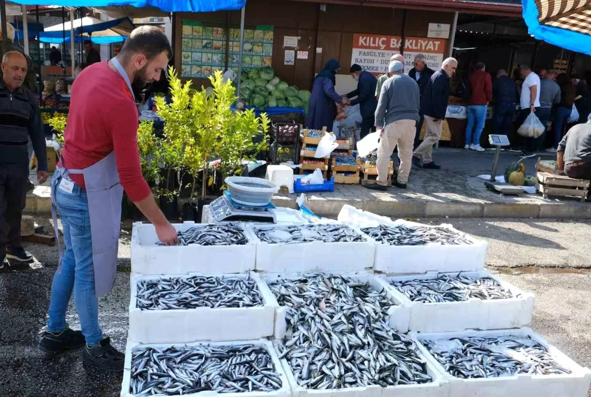 Erzincan\'da Hamsi Bolluğu: Kilosu 50 Liradan Alıcı Buluyor