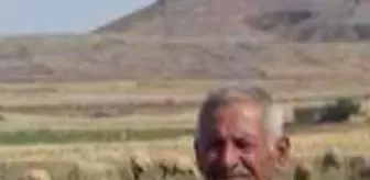 Mardin'de taşlı sopalı kavgada yaralanan yaşlı adam hayatını kaybetti