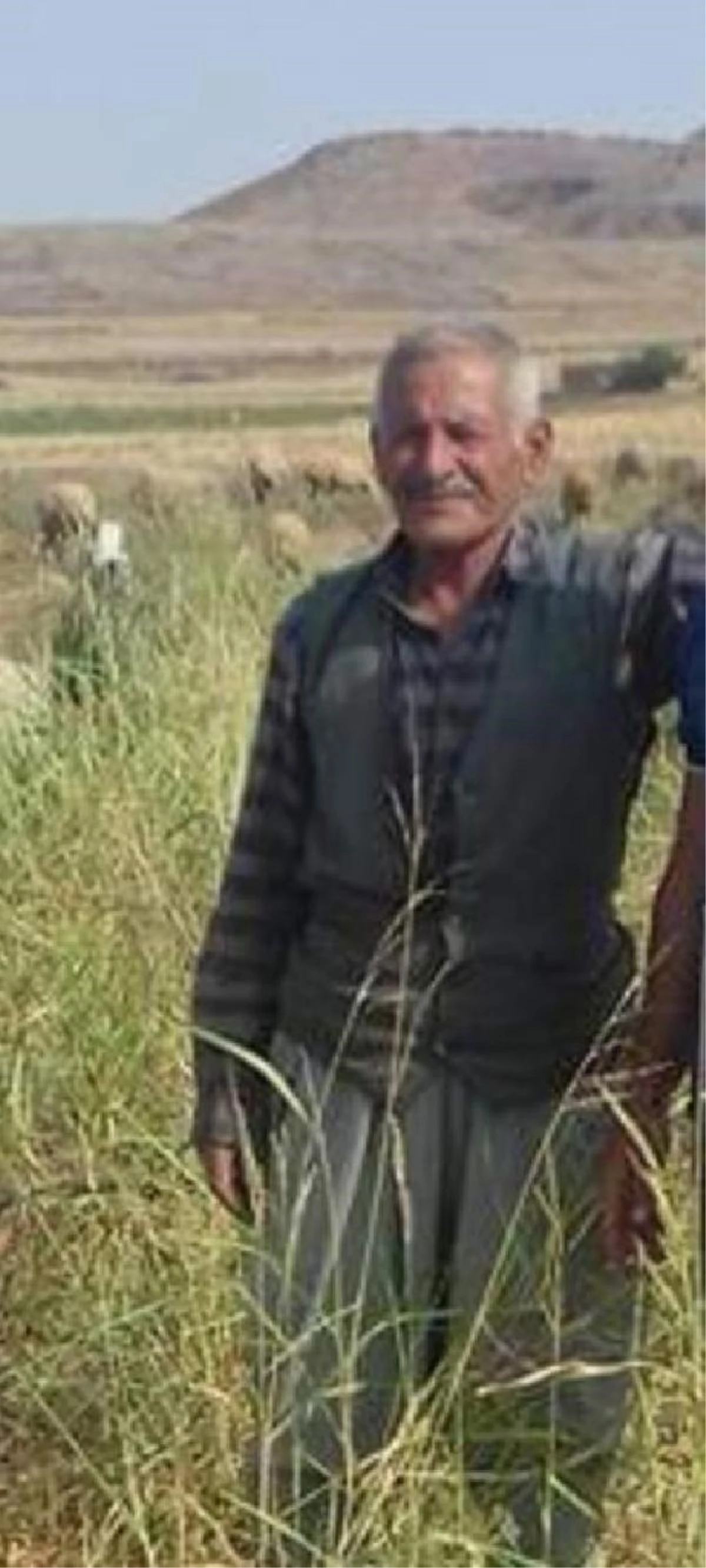 Mardin\'de taşlı sopalı kavgada yaralanan yaşlı adam hayatını kaybetti