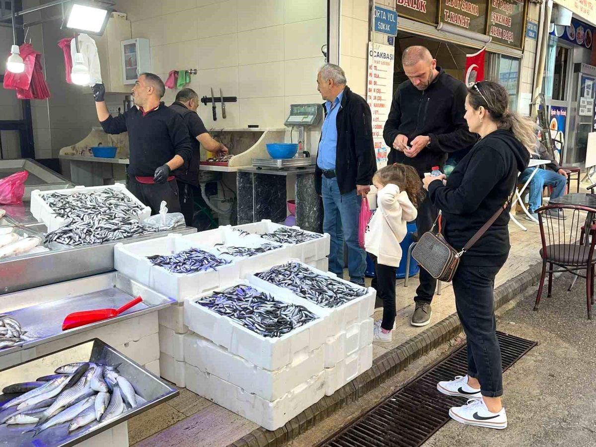 Hamsi Fiyatları Yeniden Yükseldi