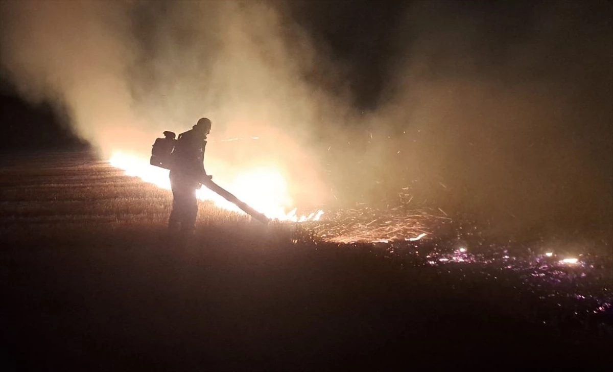 Edirne\'de Tarla Yangını: 100 Dönüm Tarım Arazisi Zarar Gördü