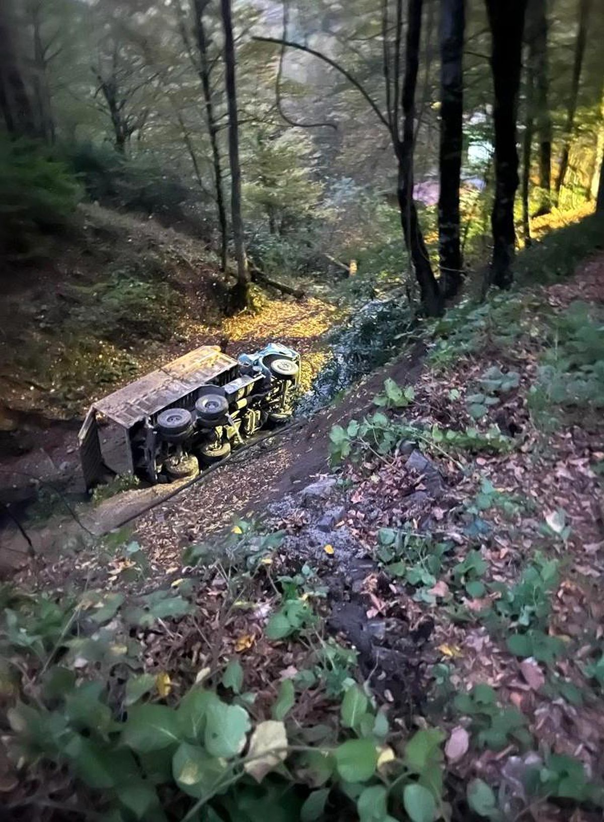 Bolu-Yedigöller Yolu Üzerinde Kamyon Uçuruma Yuvarlandı