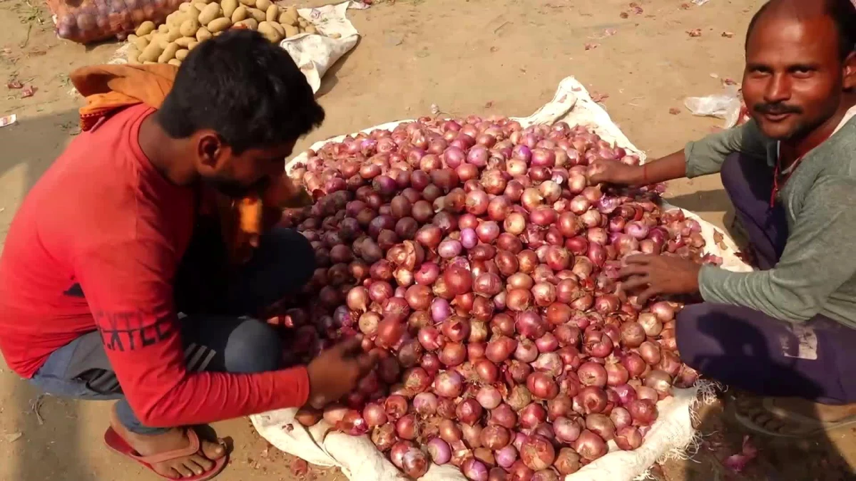 Hindistan, soğan fiyatlarını düşürmek için ihracatı sınırlıyor