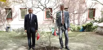 İsviçre Büyükelçisi Ankara Üniversitesi'ne Şam Eriği Fidanı Hediye Etti