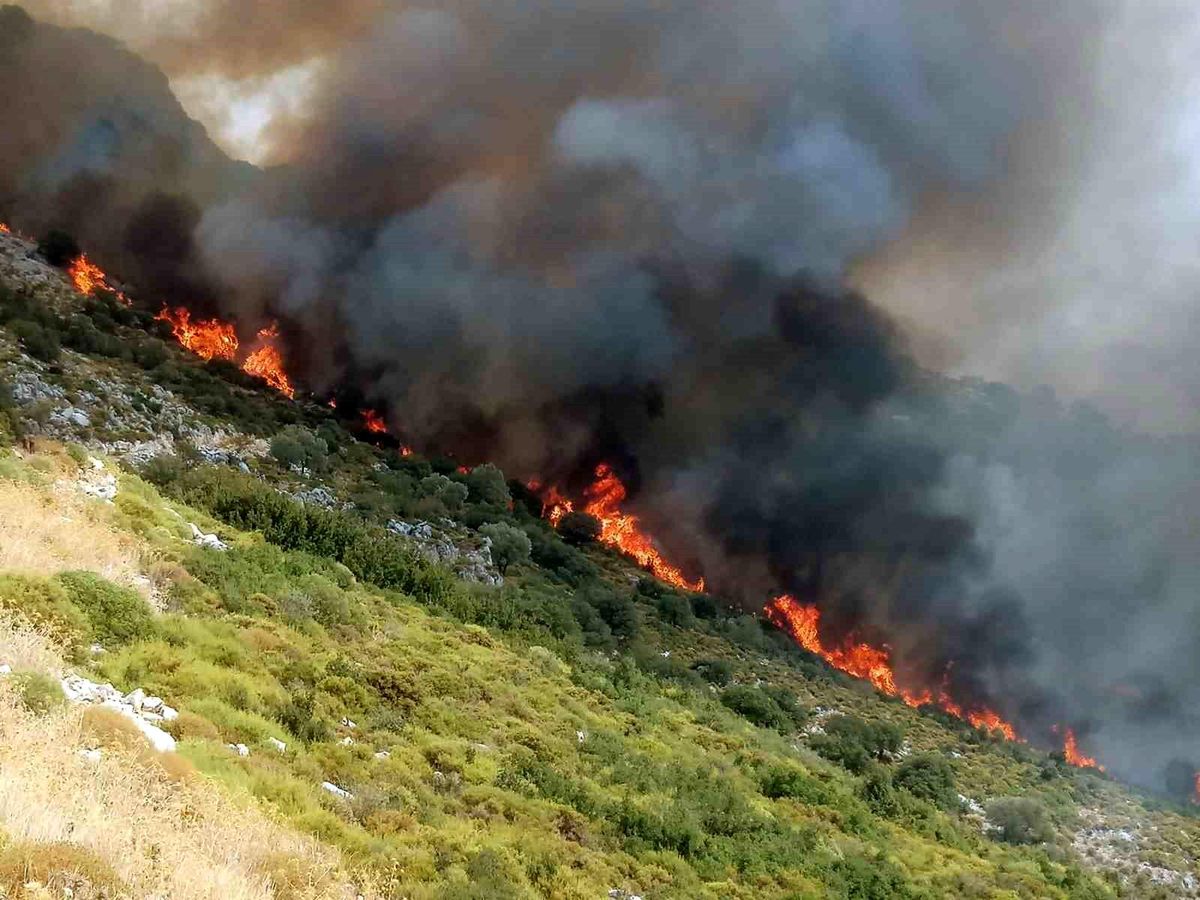 Muğla Seydikemer\'de Ziraat ve Makilik Alanda Yangın