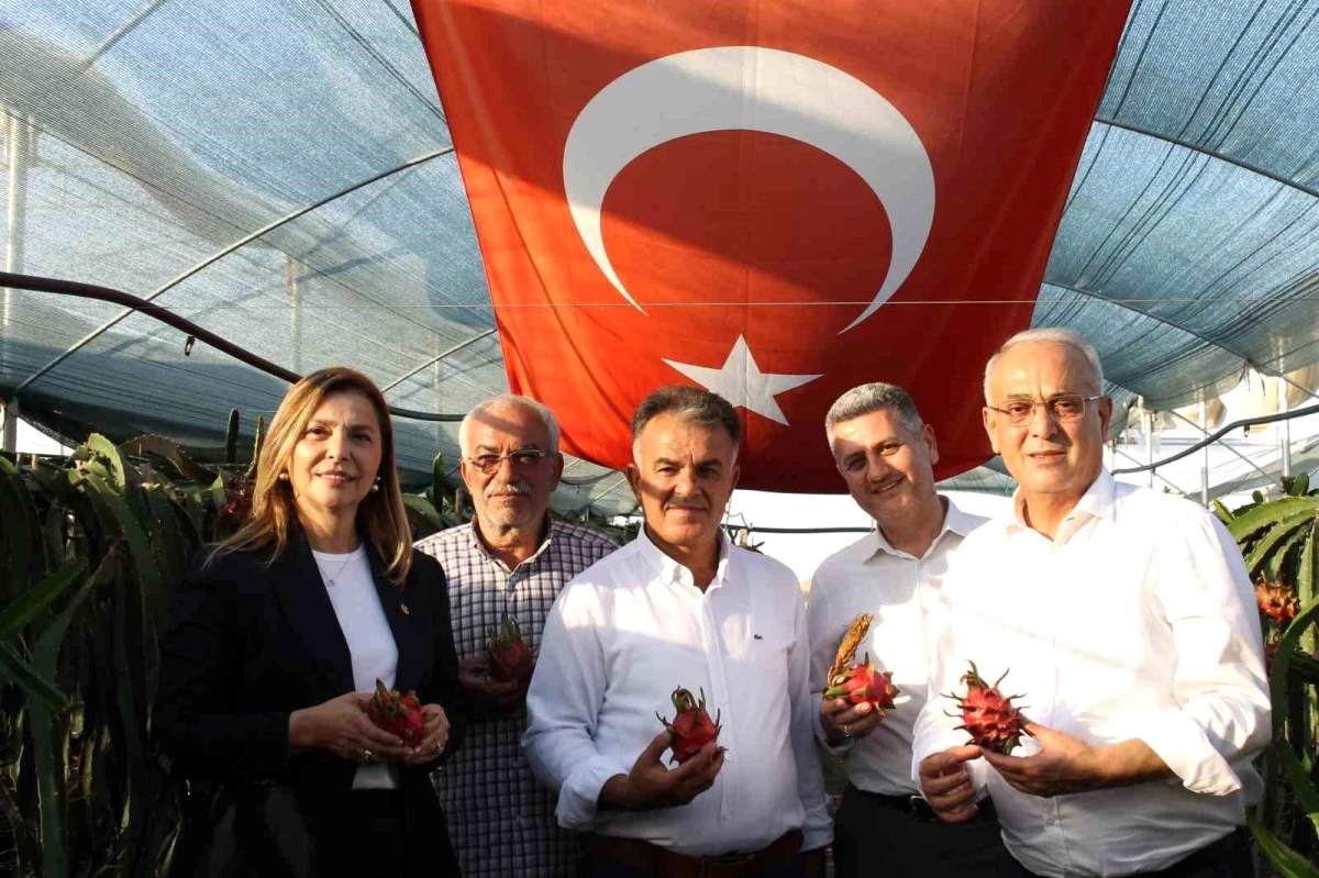 Adana\'da Ejder Meyvesi Üretimi Talepleri Karşılayamıyor