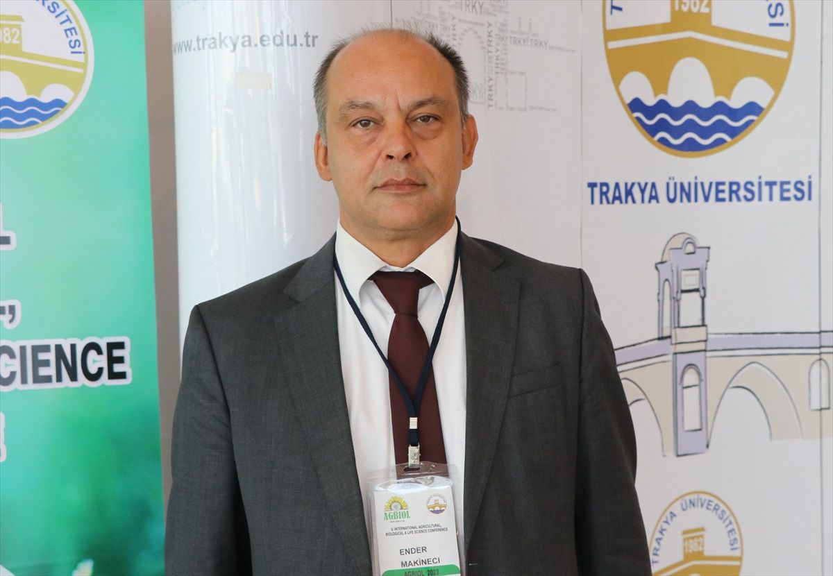 Ormanlar Atmosferdeki Karbon Emisyonunu Azaltmada Önemli Rol Oynuyor