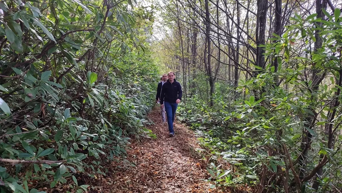 Salıpazarı Kaymakamı ilçenin tarihi ve turistik bölgelerini inceledi