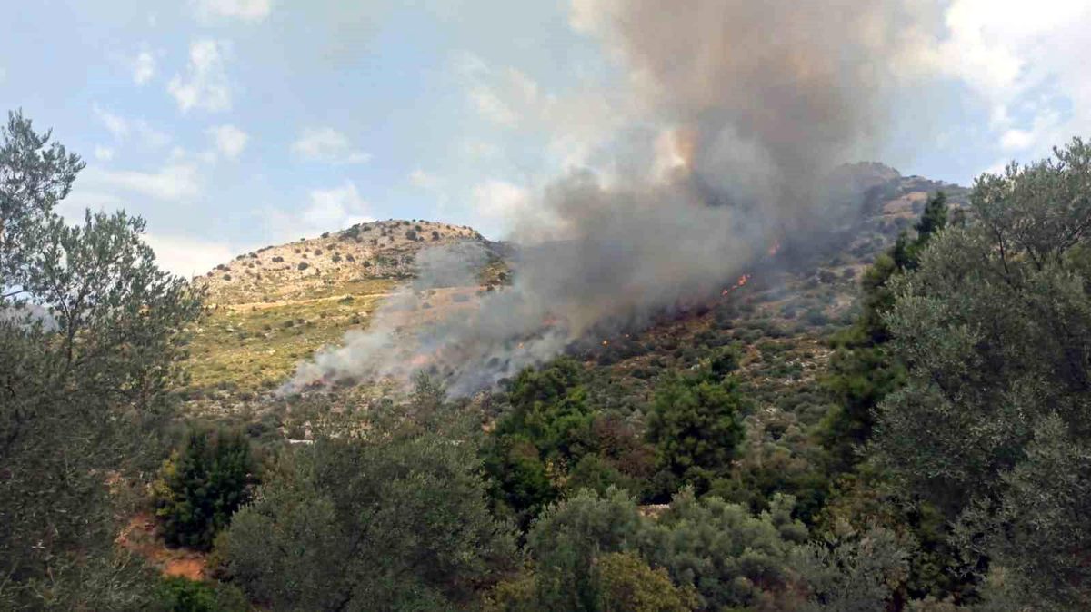 Muğla Seydikemer\'de Ziraat ve Makilik Yangını Söndürüldü