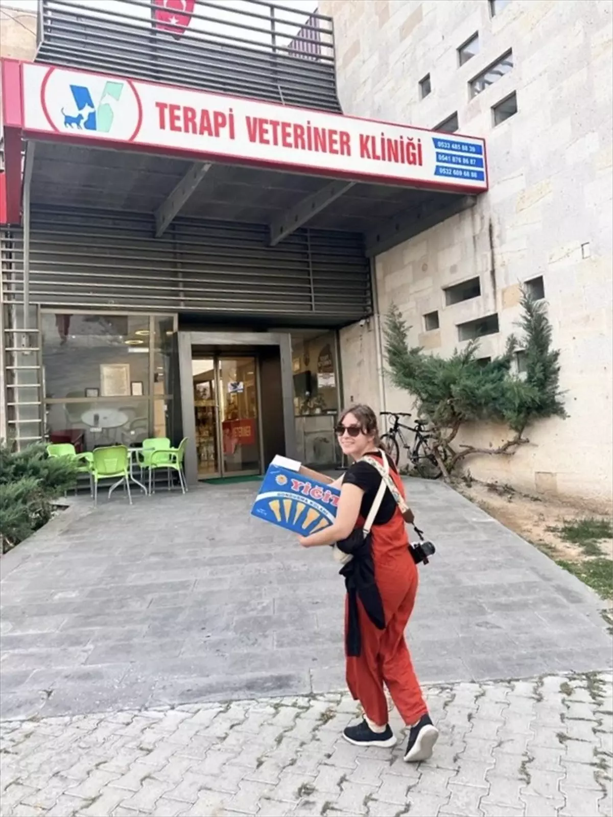 Yabancı turist yaralı kediye yardım etti