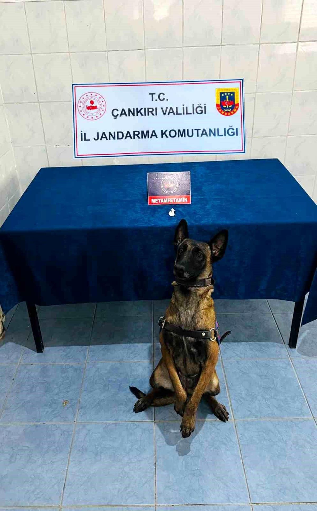 Çankırı\'da Uyuşturucu Operasyonu: Şahıs Tutuklandı