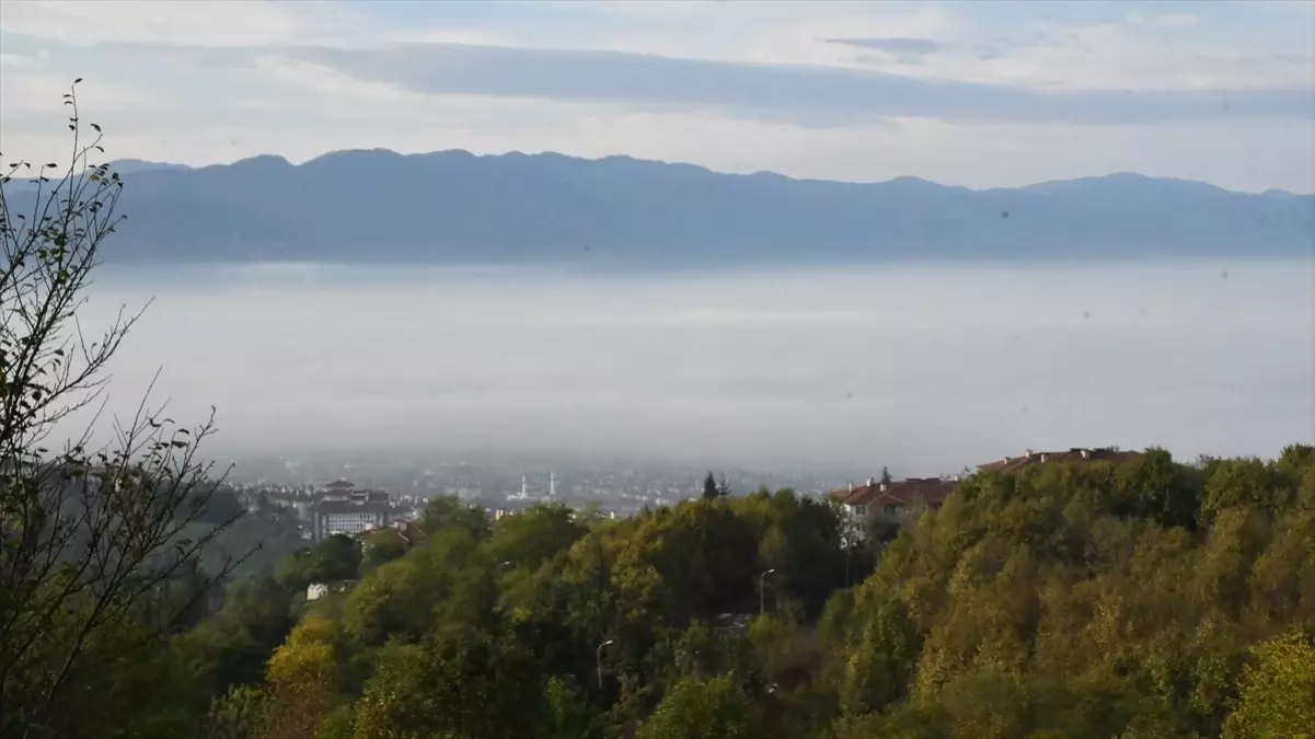 Düzce\'de yoğun sis etkisi