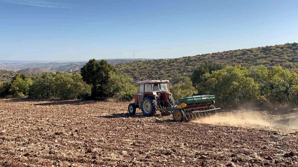 Eskişehir\'de Hububat Ekimi Başladı, Çiftçiler Yağışları Bekliyor