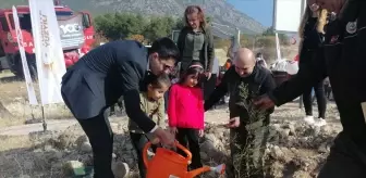 Çorum Kargı'da Anaokulu Öğrencileri Fidan Dikti