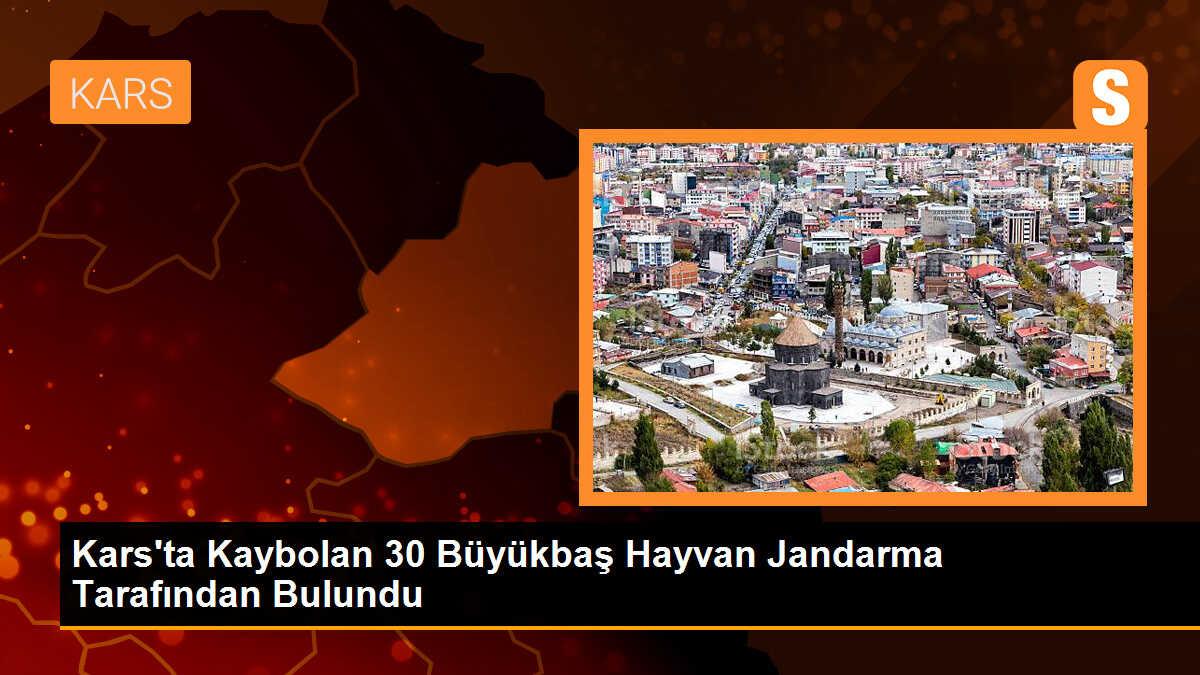 Kars\'ta Kaybolan 30 Büyükbaş Hayvan Jandarma Tarafından Bulundu