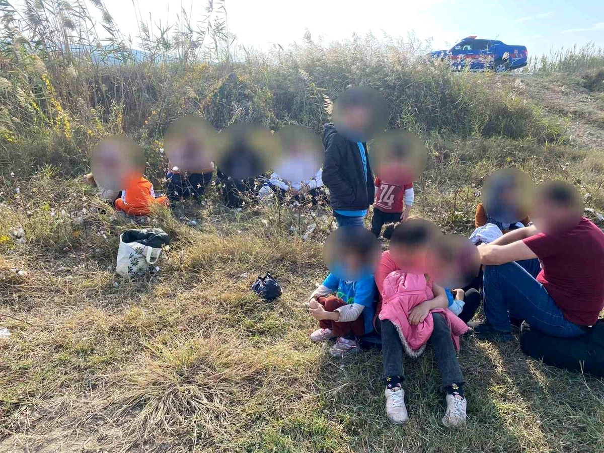 Aydın\'da Pamuk Tarlasında 27 Düzensiz Göçmen Yakalandı
