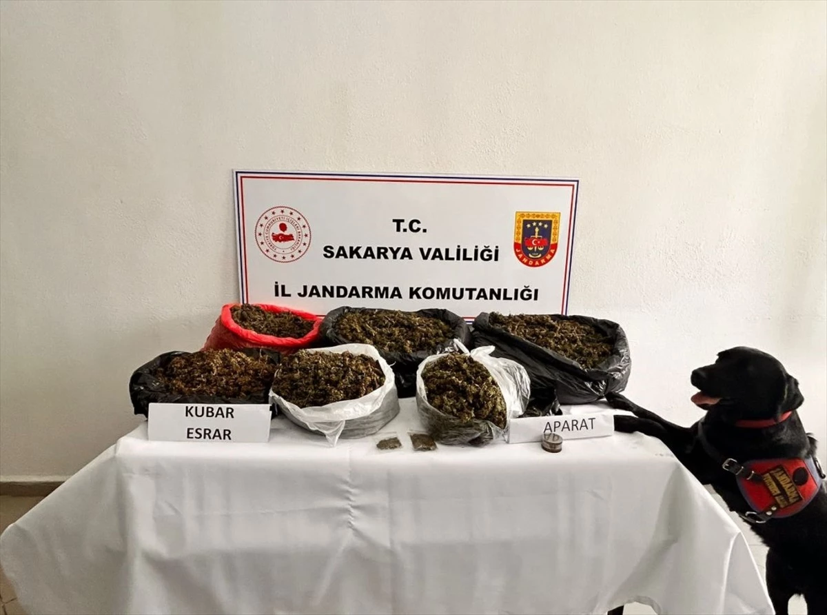 Sakarya\'da 21 Kilogram Kubar Esrar Ele Geçirildi, 1 Şüpheli Tutuklandı