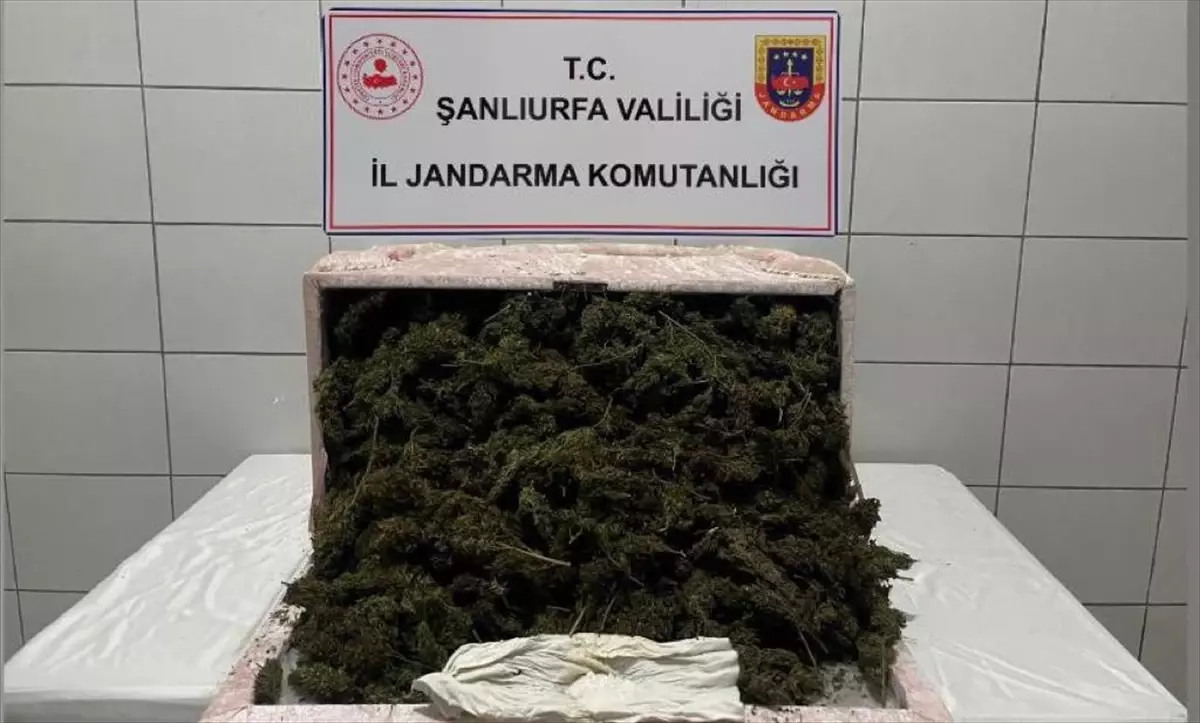 Şanlıurfa\'da Uyuşturucu Operasyonu: 35 Kilogram Esrar ve 250 Gram Metamfetamin Ele Geçirildi