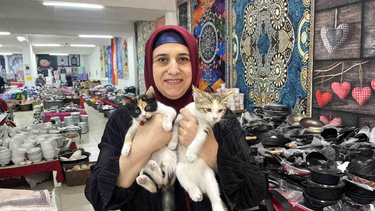 Eskişehir\'de Sokak Hayvanları İçin Sosyal Medya Çalışmaları