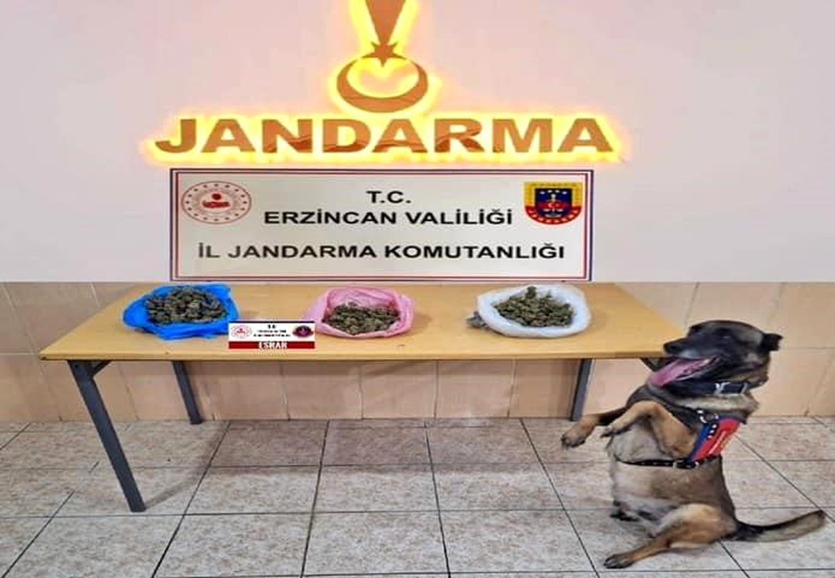 Erzincan İl Jandarma Komutanlığı Ekim Ayı Faaliyet Raporu