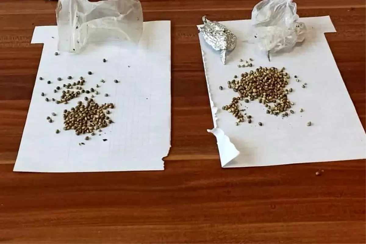 Muş'ta Molotoflu Saldırıda Bulunan PKK Üyesi Uyuşturucuyla Yakalandı