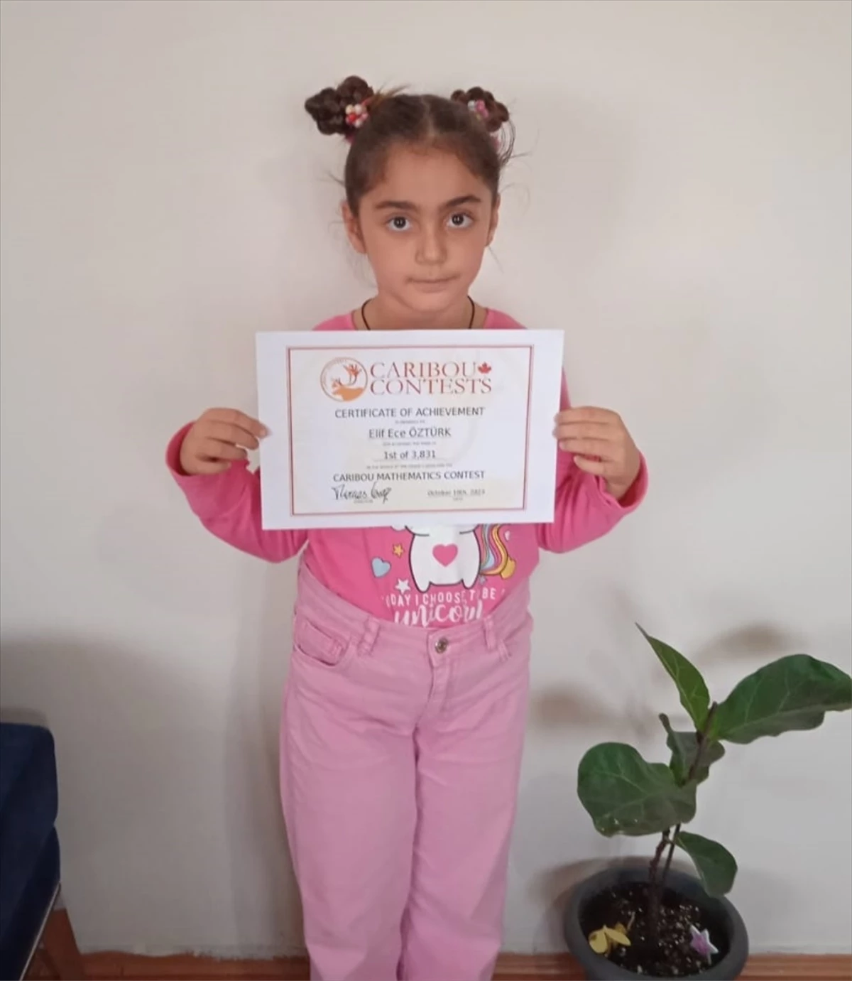 Şanlıurfa\'da ilkokul öğrencisi, uluslararası matematik yarışmasında birinci oldu