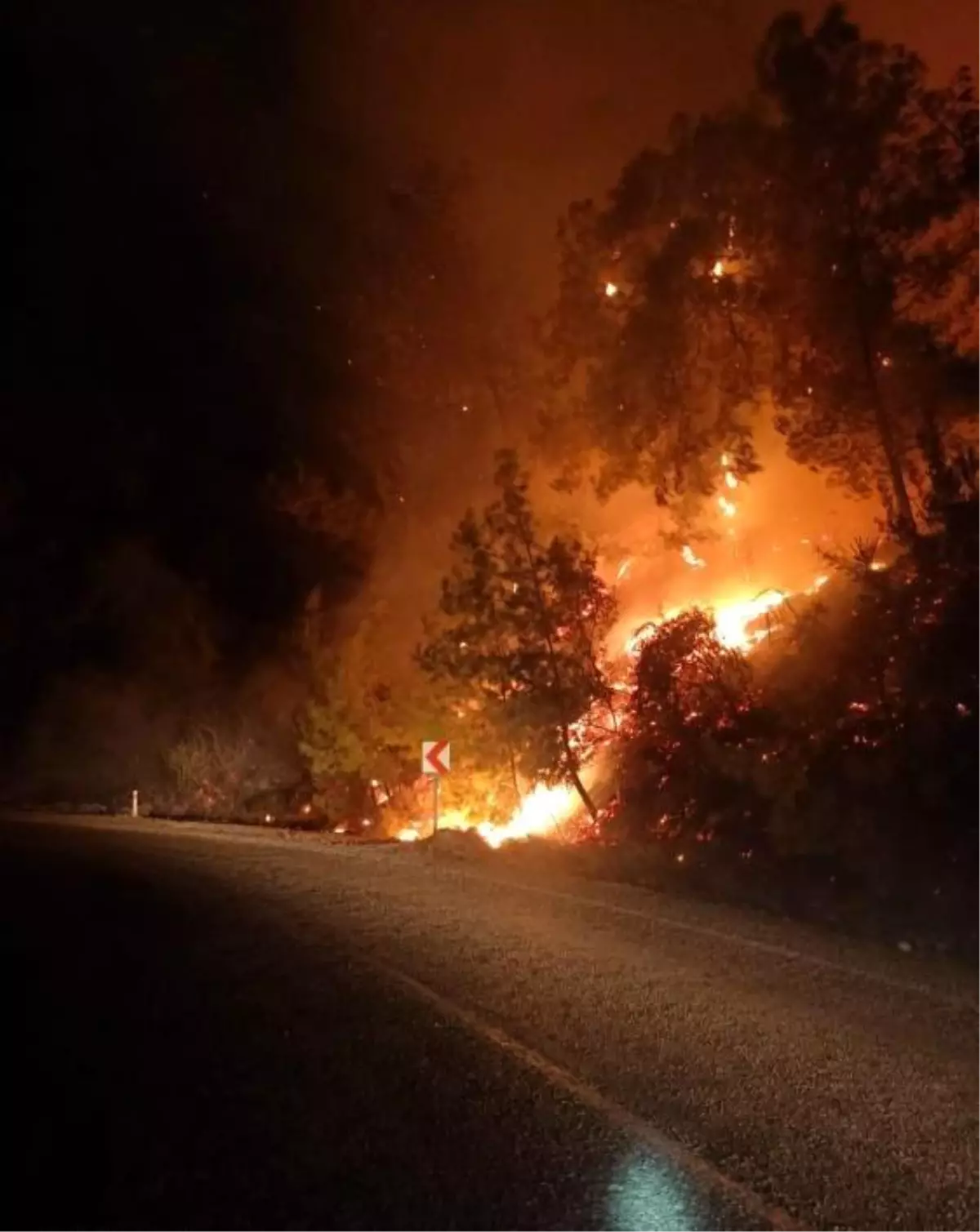 Manavgat\'ta çıkan yangın ekiplerin müdahalesiyle büyümeden söndürüldü