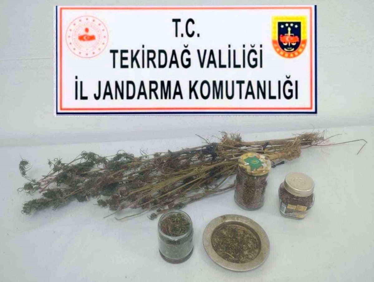 Tekirdağ\'da Uyuşturucu Operasyonu: 330 Gram Uyuşturucu Ele Geçirildi