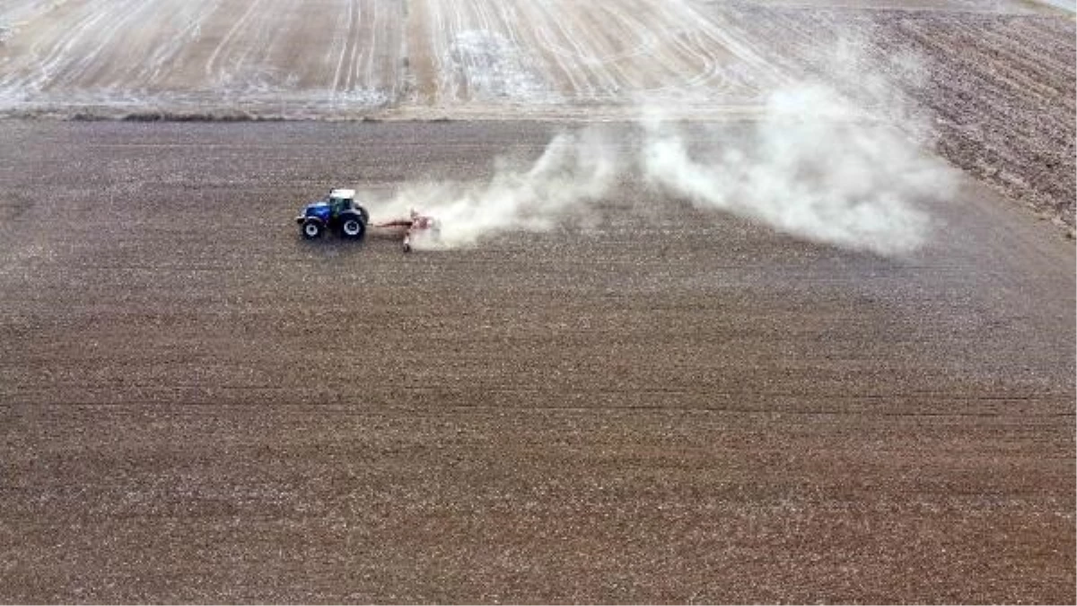 Trakya\'da buğday kuru toprağa ekilip, yağış beklenmeye başlandı