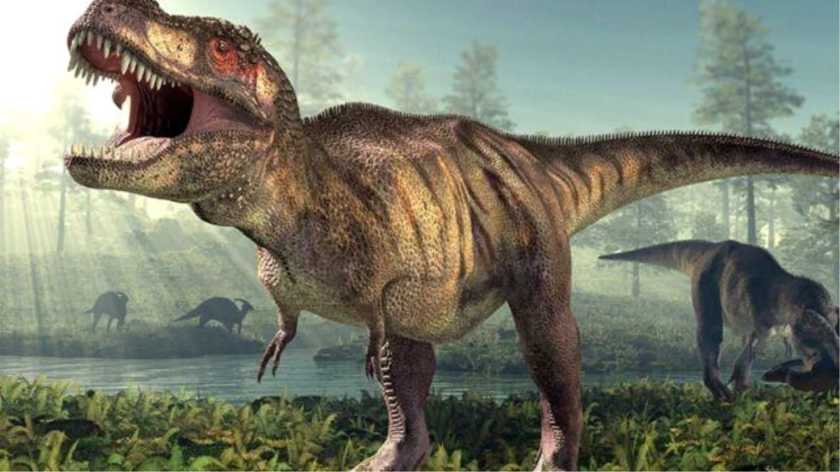 Dinozorlar Neden Tükendi? Yeni Araştırma Şaşırtıcı Sonuçlar Ortaya Koydu