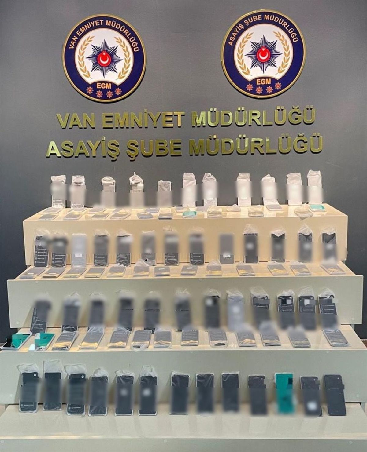 Van\'da Gerçekleştirilen Asayiş Operasyonlarında 115 Şüpheli Tutuklandı