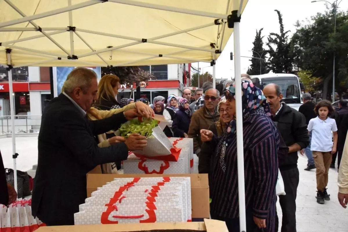 Bilecik Belediyesi, Vatandaşlara Marul Fidesi Dağıttı