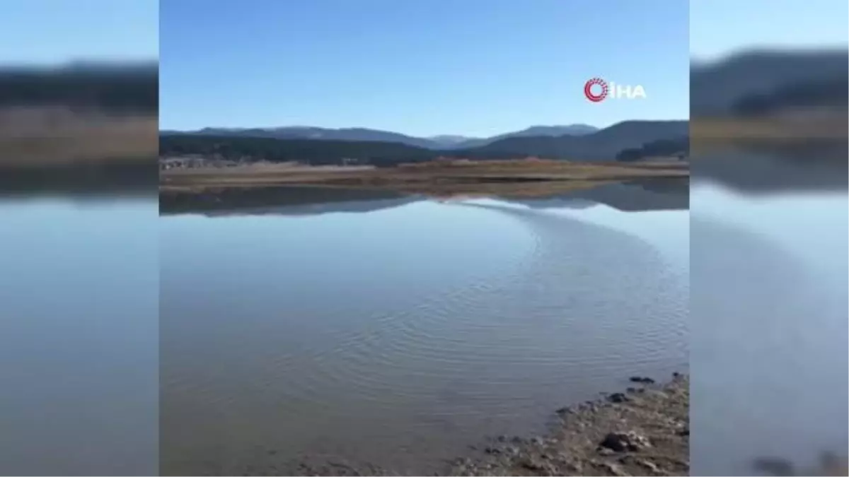 Yorgun düşen Sakar Meke kuşu, Bolu\'da dinlendirilerek tekrar doğaya salındı