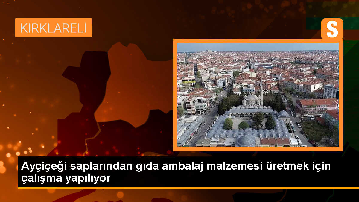 Trakya ve Kırklareli Üniversiteleri, Ayçiçeği Saplarından Çevre Dostu Gıda Ambalajı Üretmek İçin İş Birliği Yapıyor