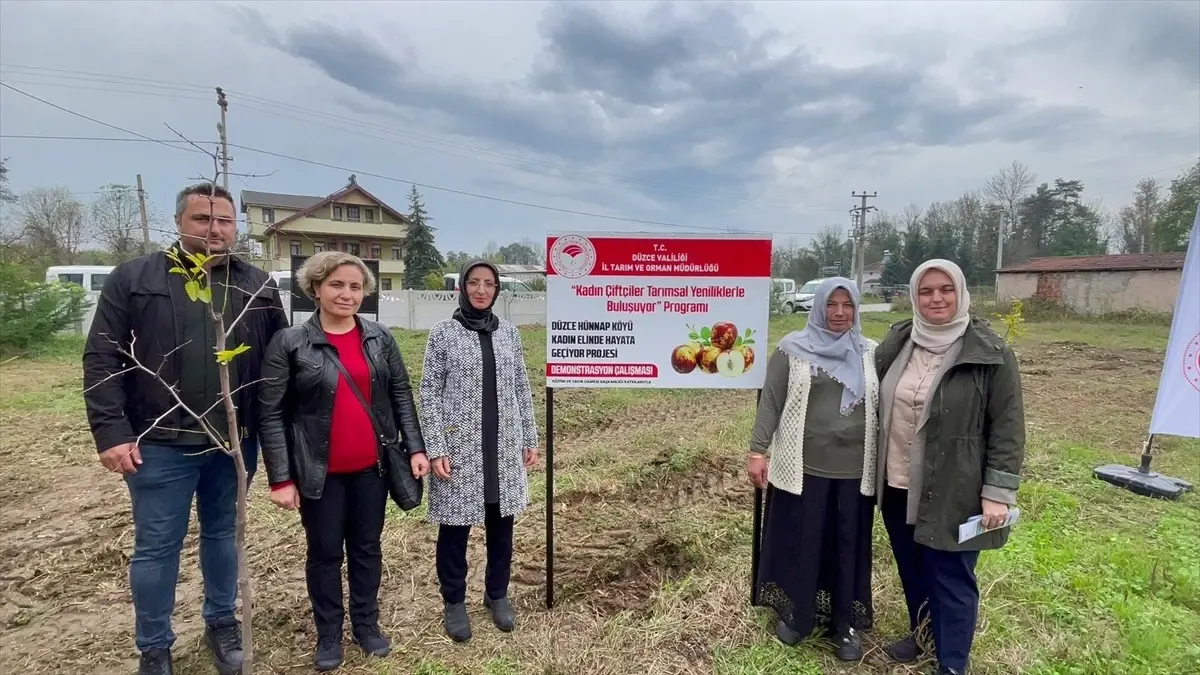 Düzce'de Kadınlar Tarafından Yetiştirilen Hünnabın İlk Hasadı Gerçekleştirildi