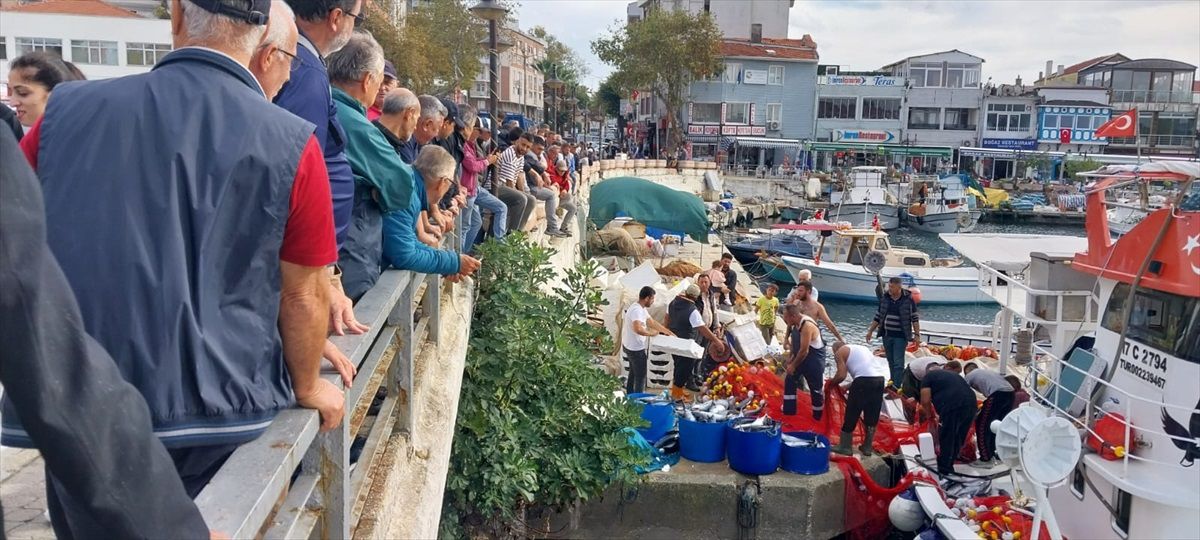 Çanakkale\'de Balıkçılar 2 Bin 500 Torikle Dönüş Yaptı