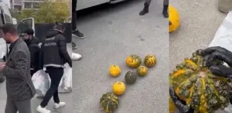 Hakkari'de Bal Kabakları İçerisinde Metamfetamin Ele Geçirildi