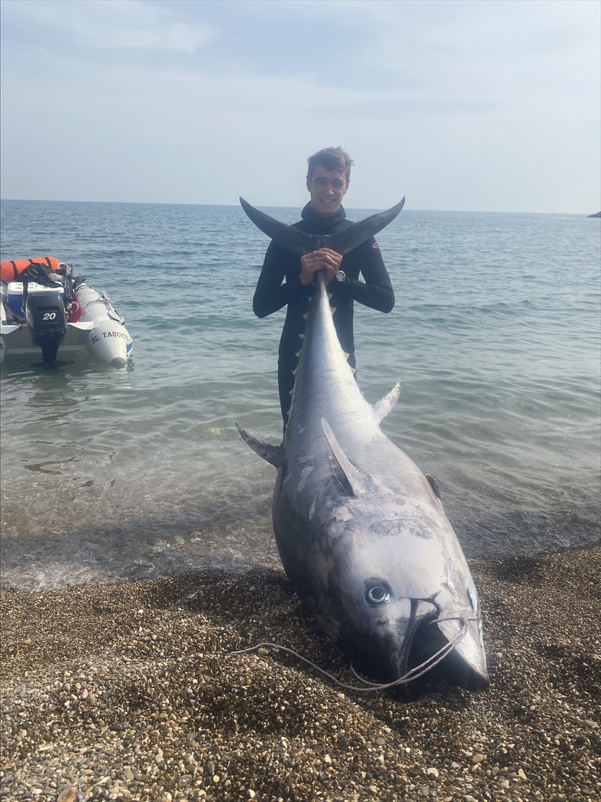 Silifke\'de Zıpkınla 150 Kilogramlık Orkinos Balığı Avlandı
