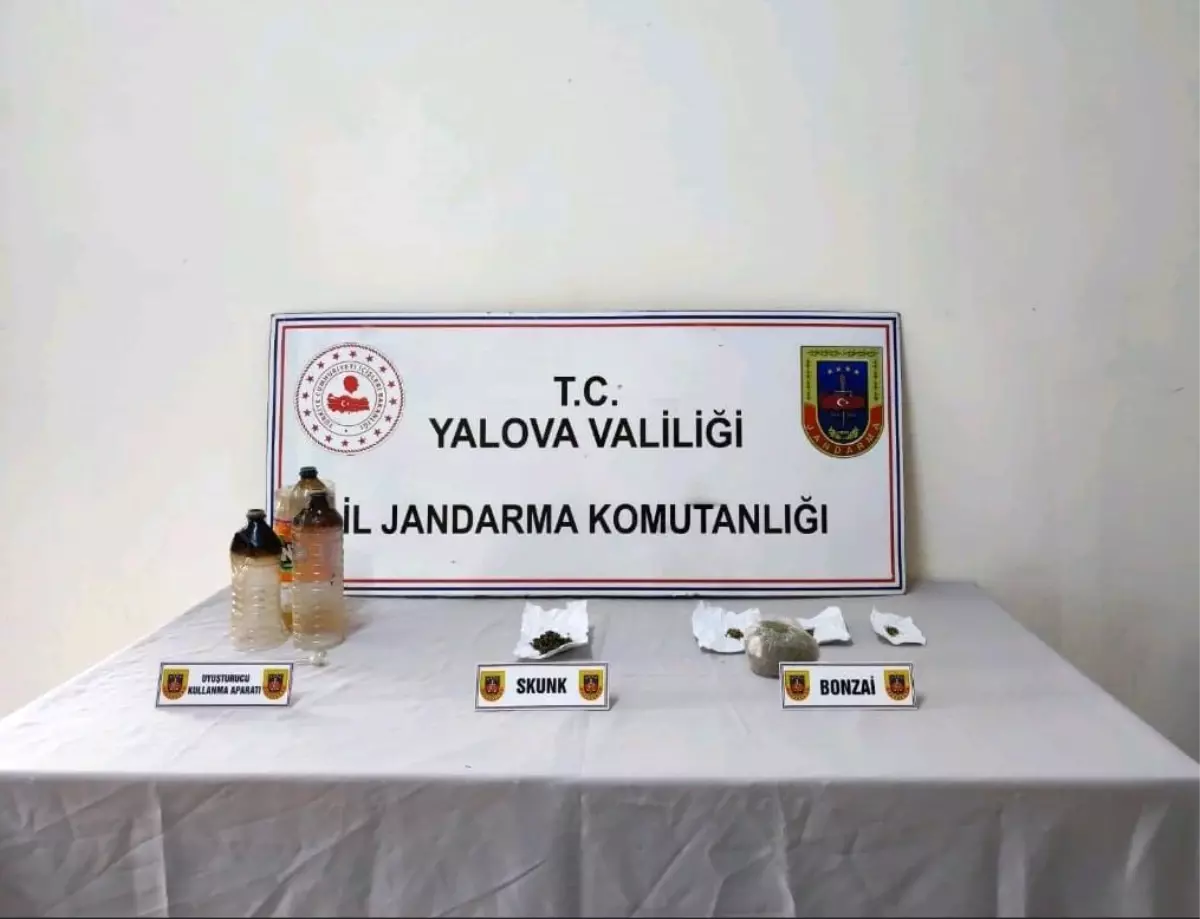 Yalova\'da Ormanlık Alanda Uyuşturucu Yetiştiren Zanlı Tutuklandı