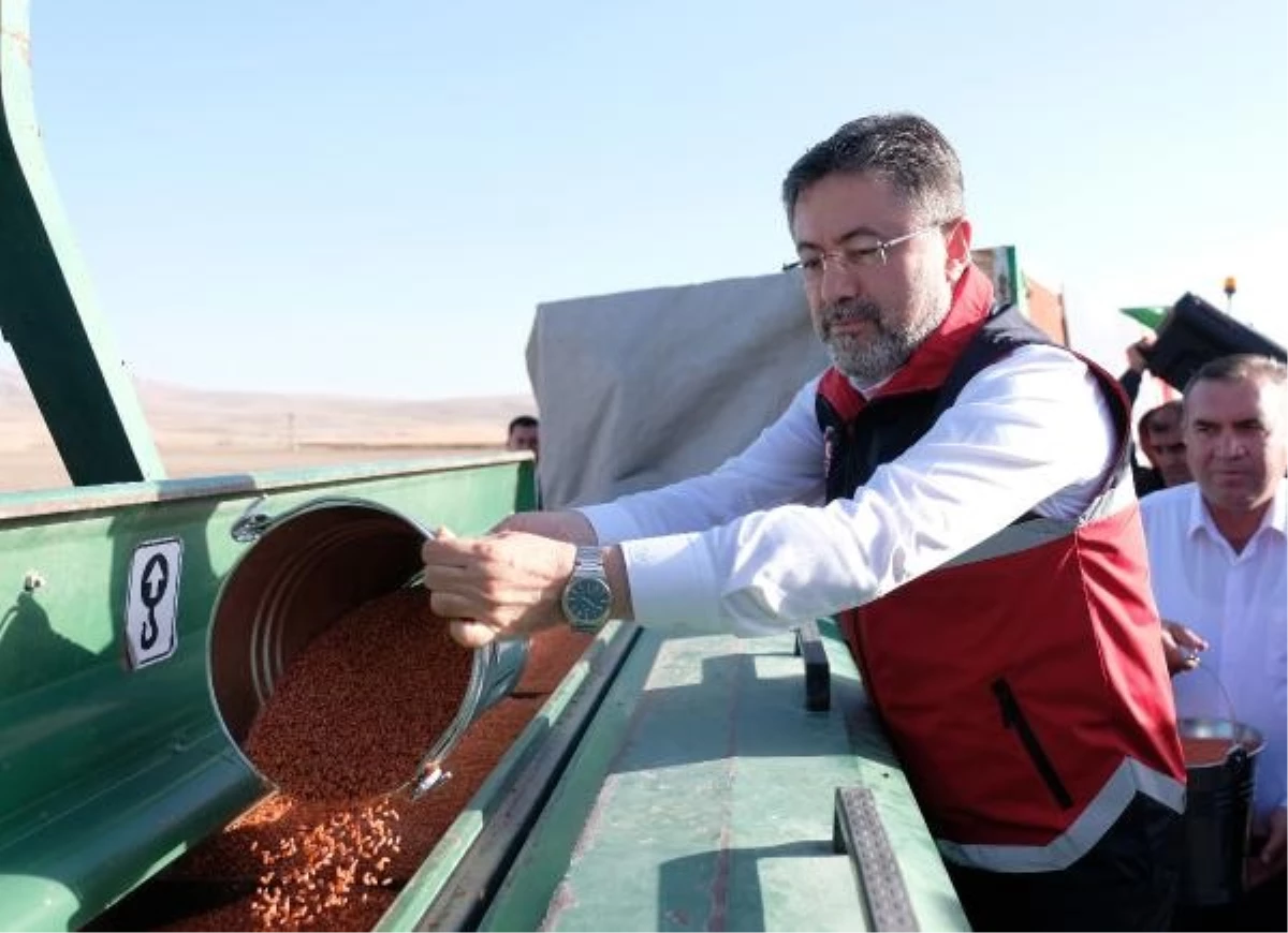 Türkiye, tohum üretiminde büyük başarı elde ediyor