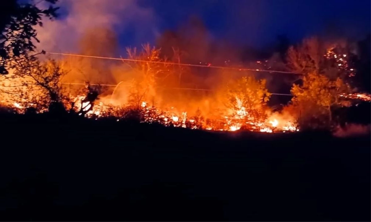 Çanakkale\'deki Orman Yangınları Yağmur Etkisiyle Kontrol Altına Alındı