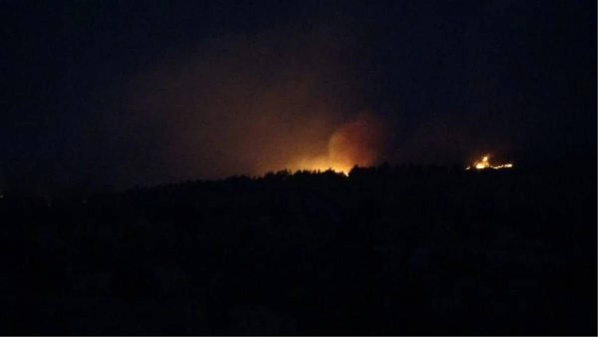 Çanakkale\'de orman yangını (3)