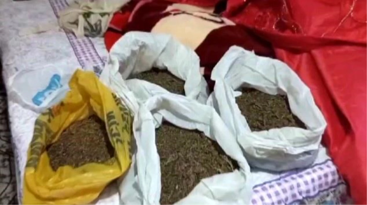 İzmir\'de MİT koordinasyonunda uyuşturucu operasyonu: 6 gözaltı