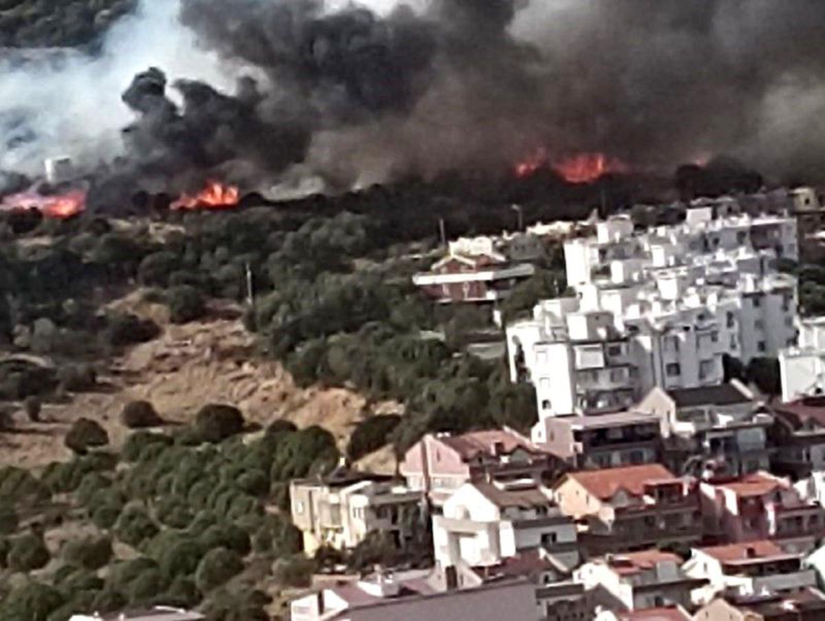 İzmir\'de Dikili ilçesinde orman yangını çıktı