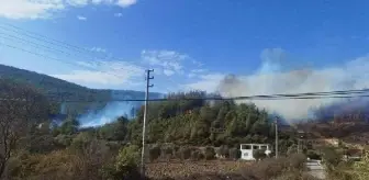 Muğla Yatağan'da Orman Yangını