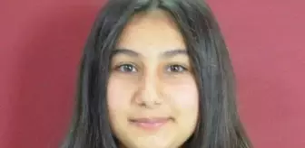 Muğla'da Yaya Geçidinde Kaza: İyi Hal İndirimiyle Verilen Cezaya İstinaf Başvurusu