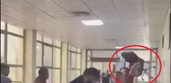 Cizre'de akraba iki aile arasında çıkan kavga hastanede devam etti