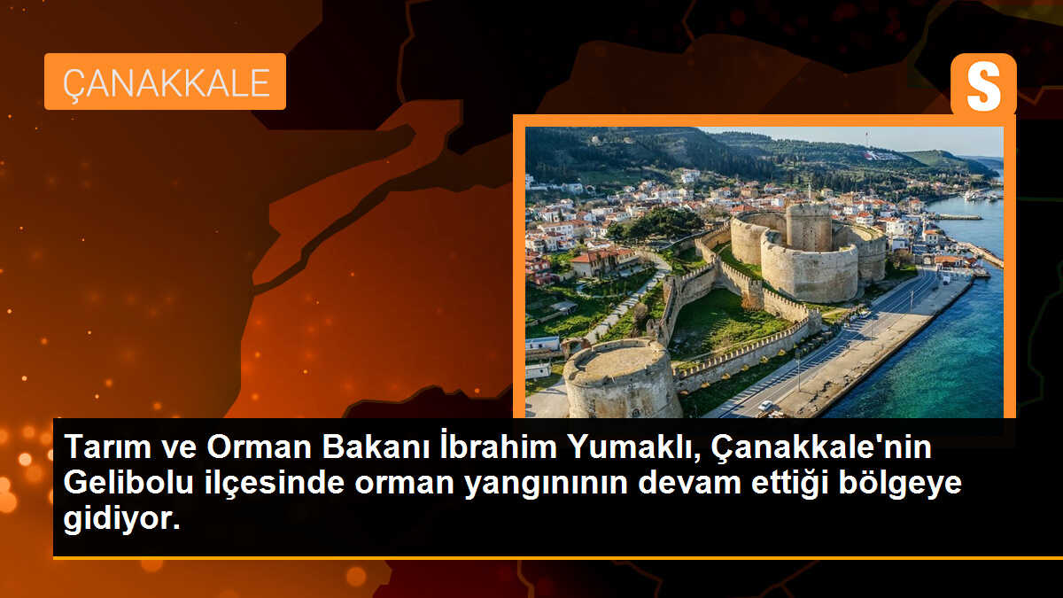 Tarım ve Orman Bakanı İbrahim Yumaklı, Çanakkale\'nin Gelibolu ilçesinde orman yangınının devam ettiği bölgeye gidiyor.