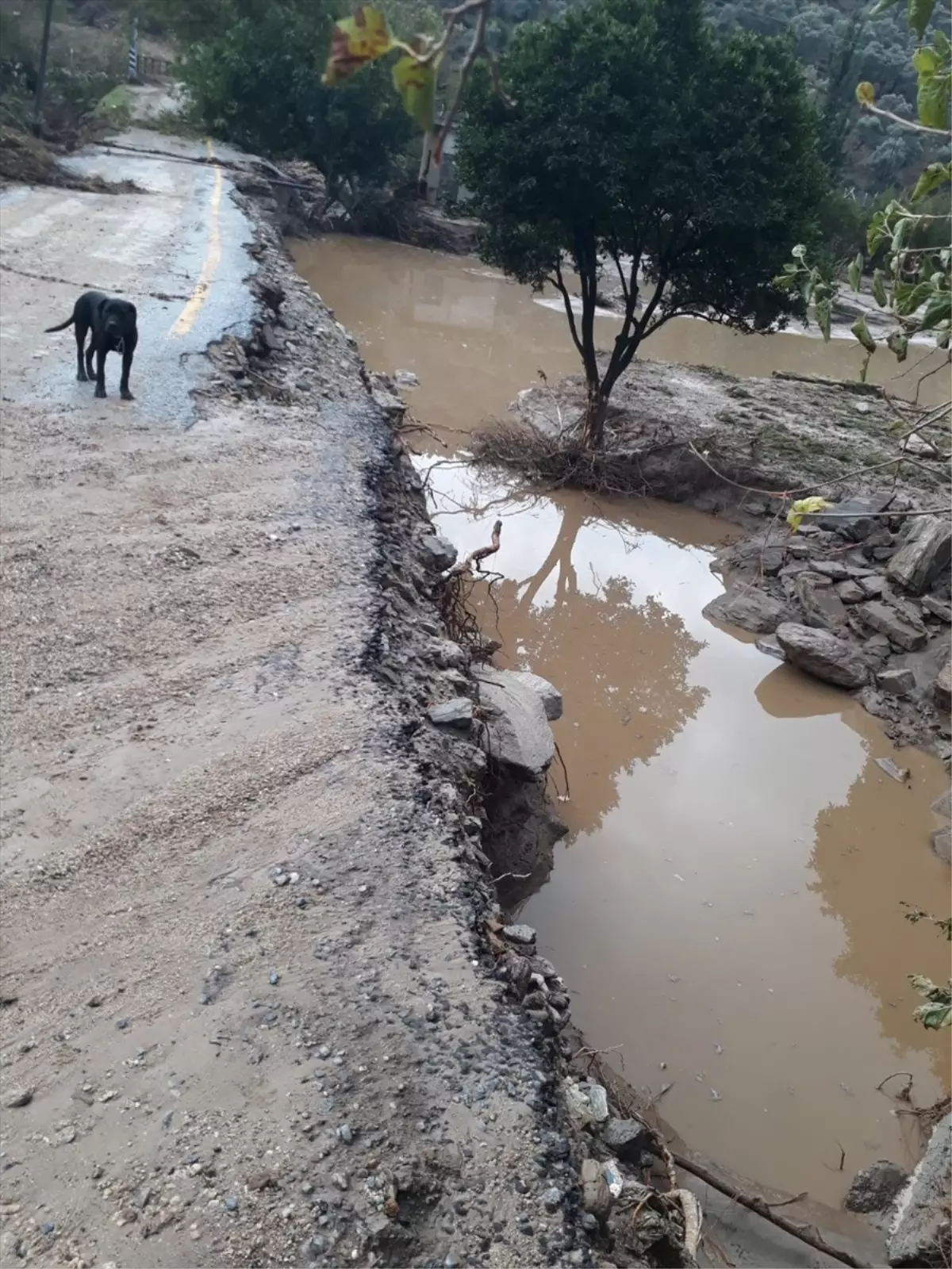 Aydın\'da sağanak sele kapılan 2 kişi öldü, 2 kişi kayboldu